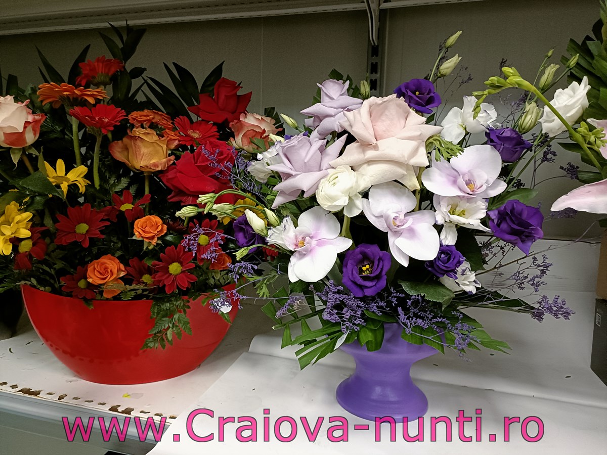 www.Craiova-nunti.ro